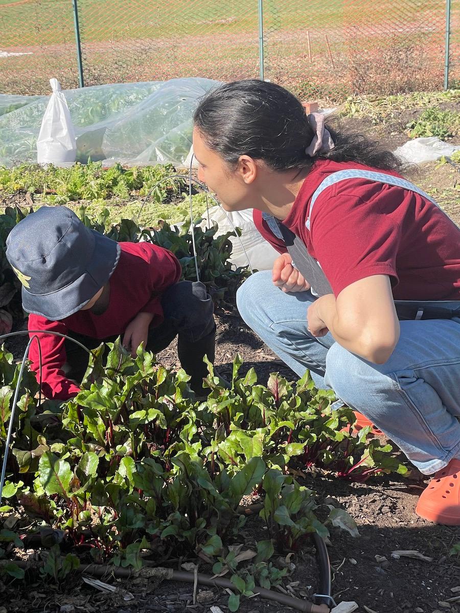Field Trip: Hands-On Learning at Opal’s Farm in Fort Worth in Fort Worth,Texas