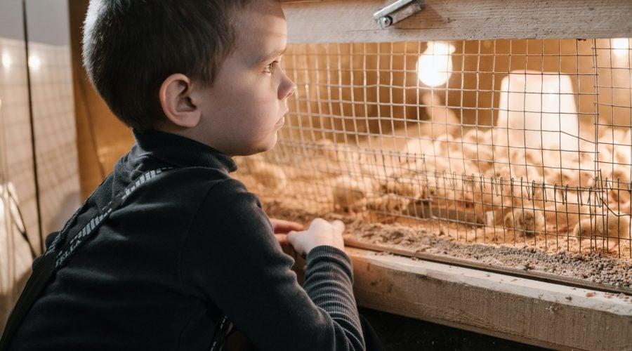 Suggest a Farm or Agritourism Experience