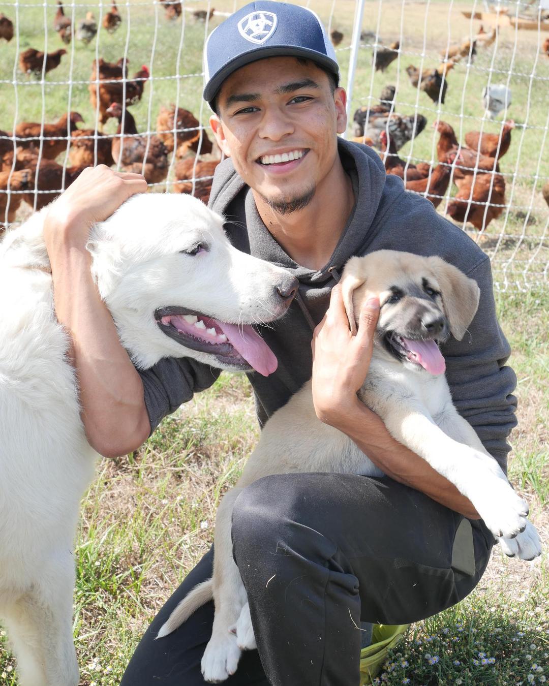 Livestock Guardian Dogs: Protectors of the Pastures