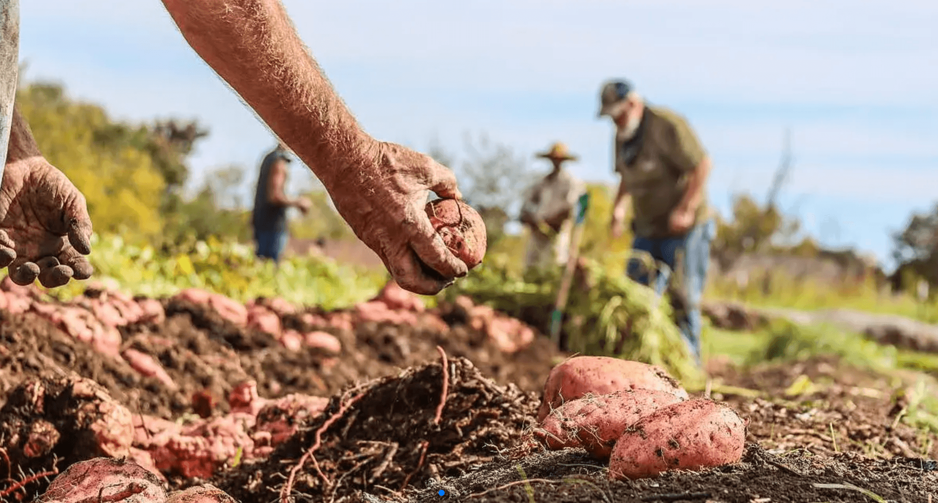 Why Knowing Your Farmer Matters