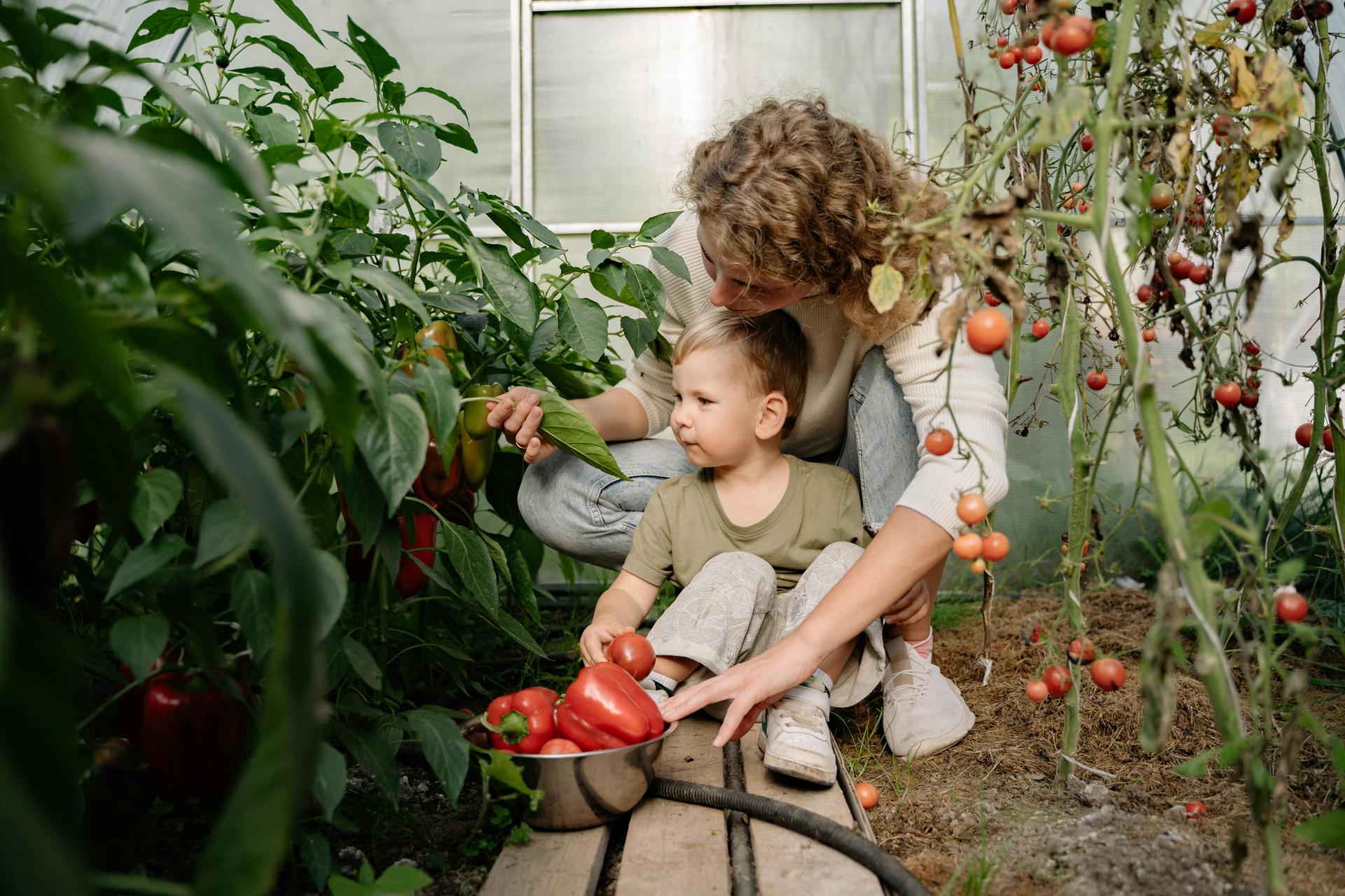 Small Space, Big Harvest—Your Kitchen Garden Starts Here