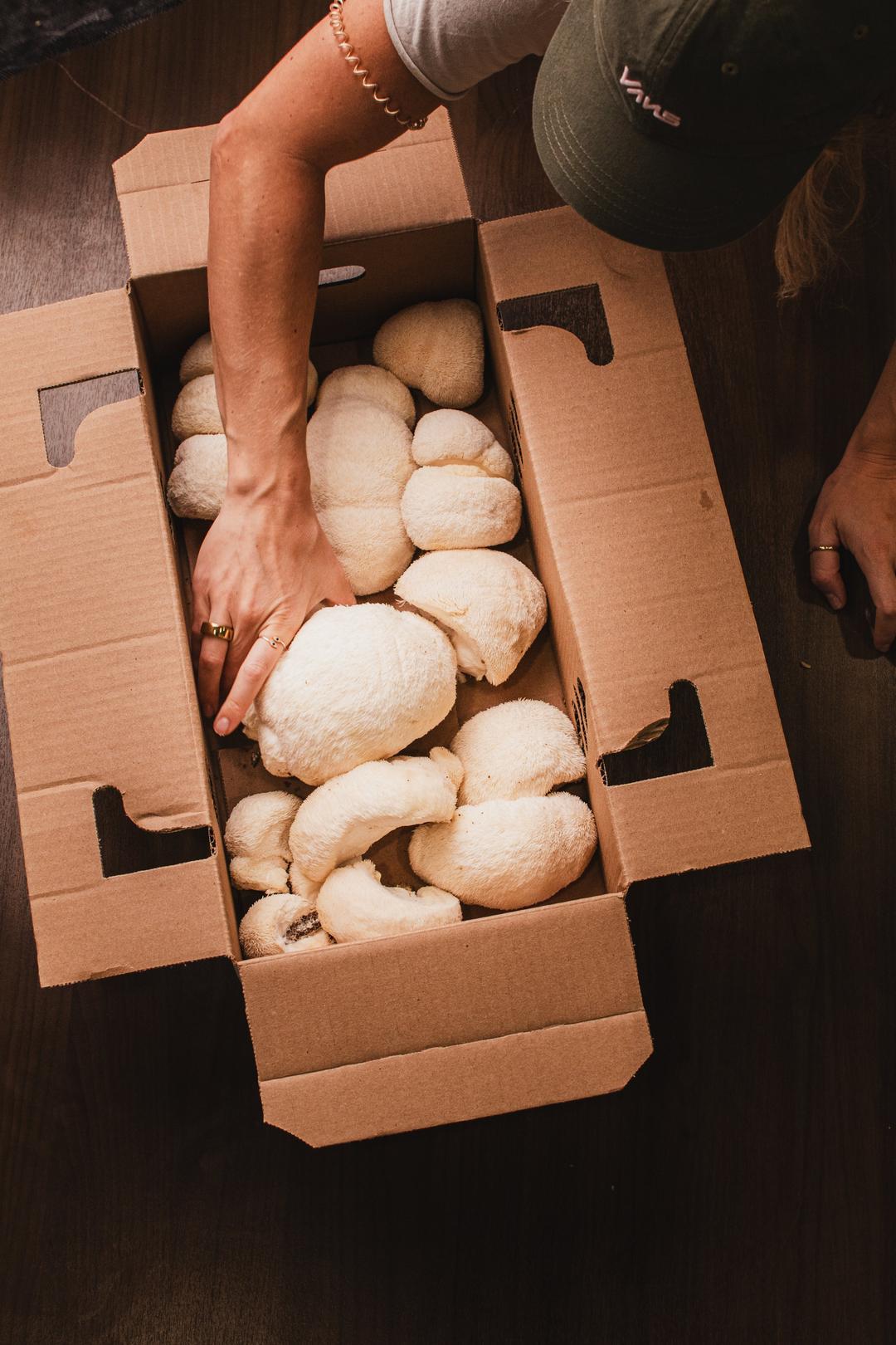 The Truth About Functional Mushrooms (a.k.a. Medicinal Mushrooms)