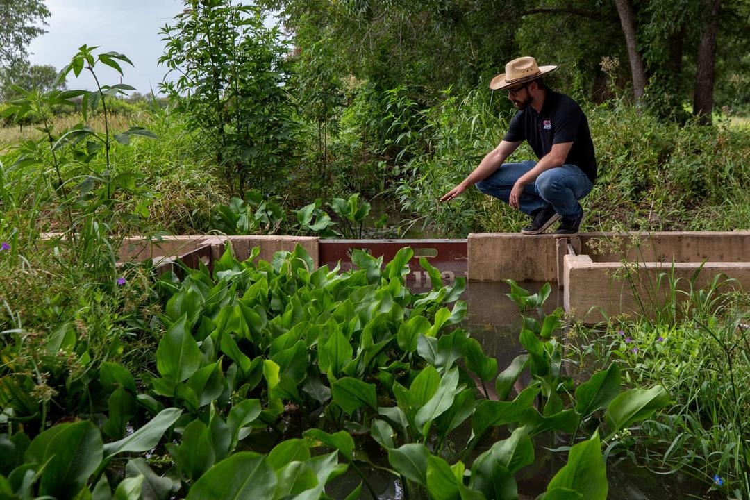 From Field to Future: A Farm Tour That’s Changing How San Antonio Sees Food