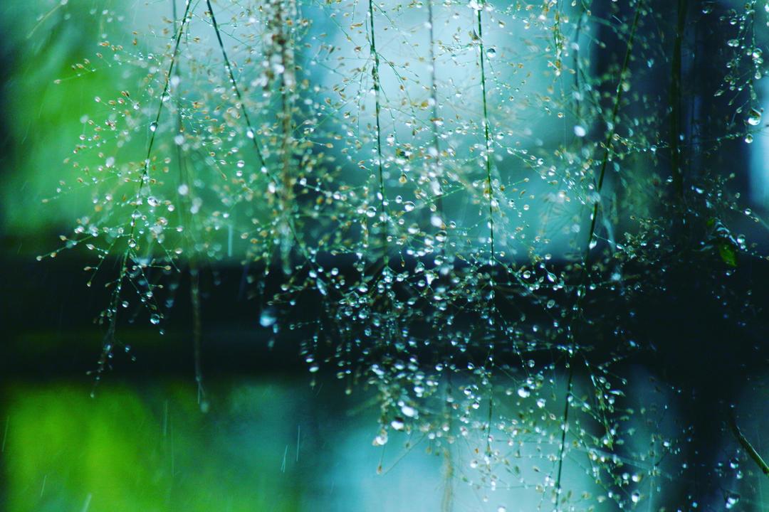 Can You Do a Garden Field Trip in the Rain? (Yes—Here’s How)