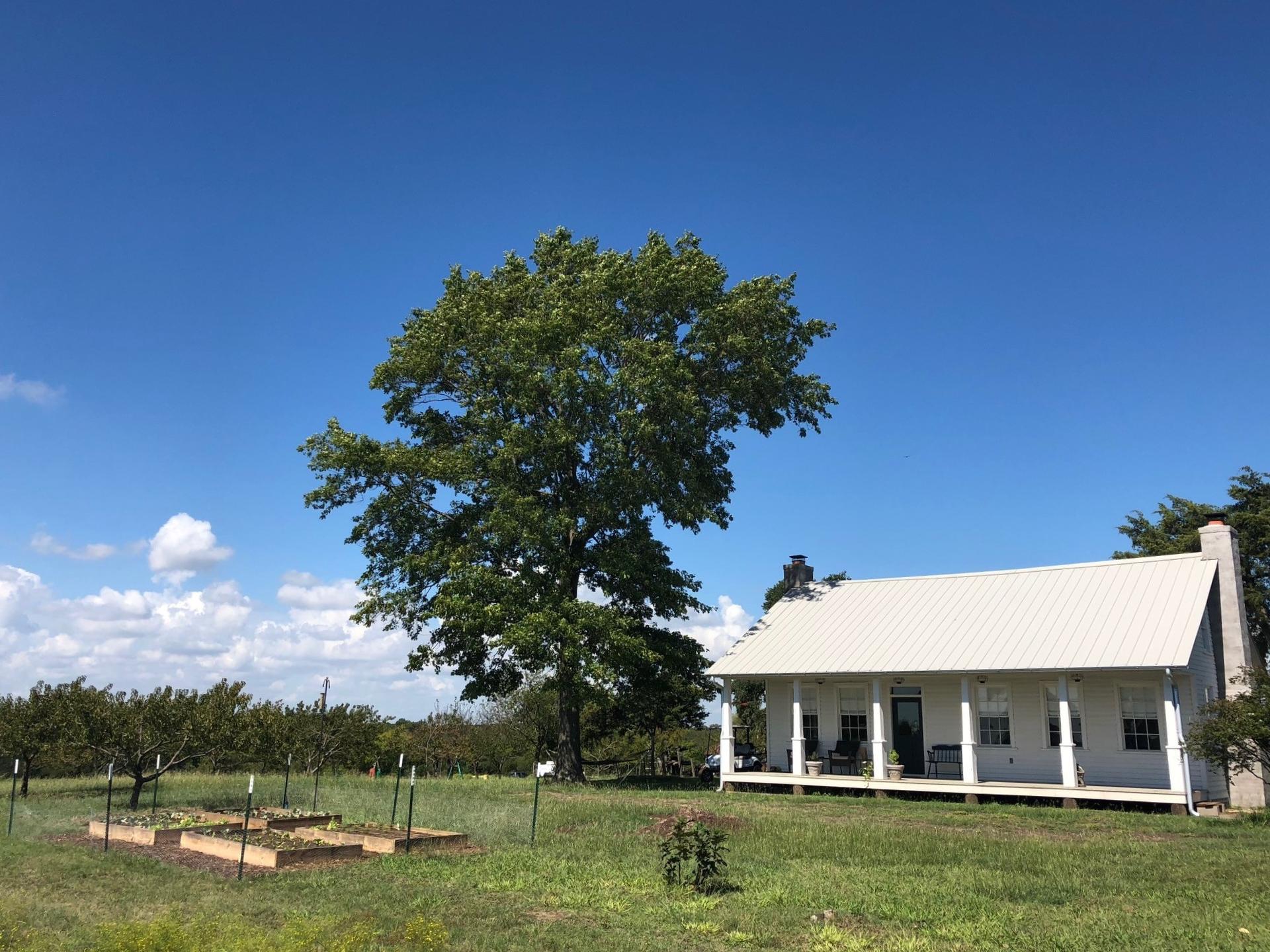 Rooted in Faith: How Sister Grove Farm Cultivates Creation Care and Spiritual Renewal