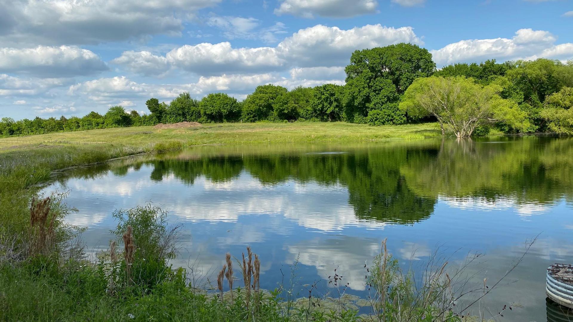 A Place to Reflect: Hospitality, Healing, and Land Stewardship at Sister Grove Farm