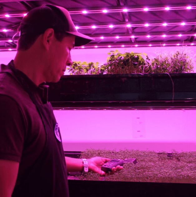 From NASA to Microgreens: The Origin Story of Moonflower Farms