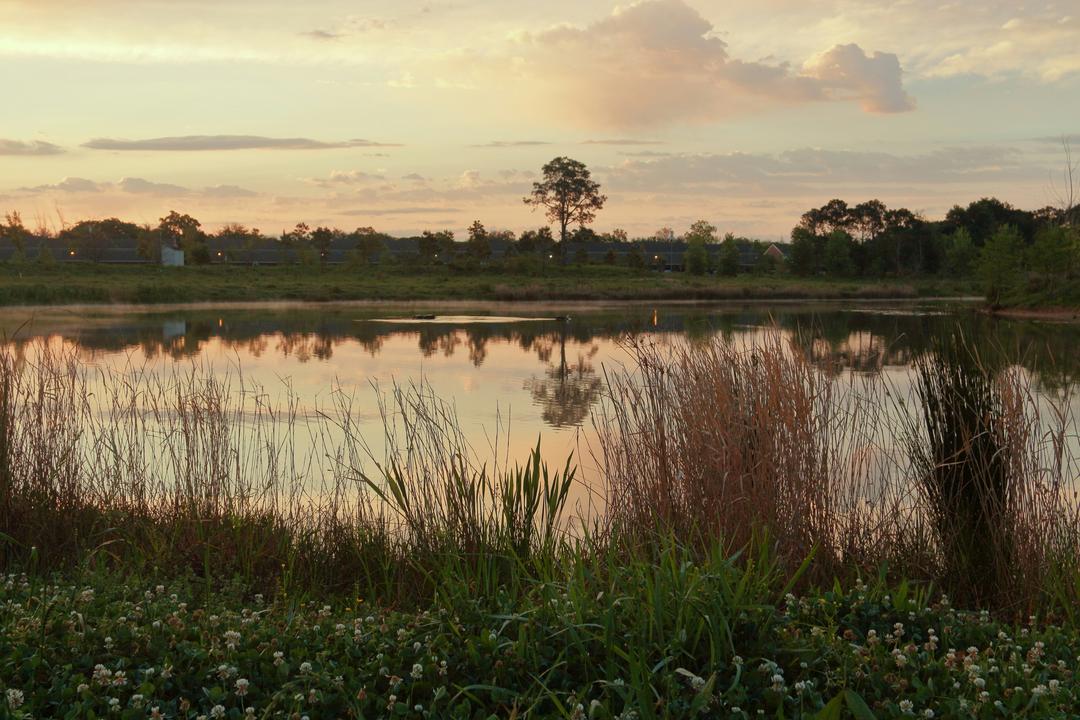 Why Traditional Farming Is So Hard in Houston