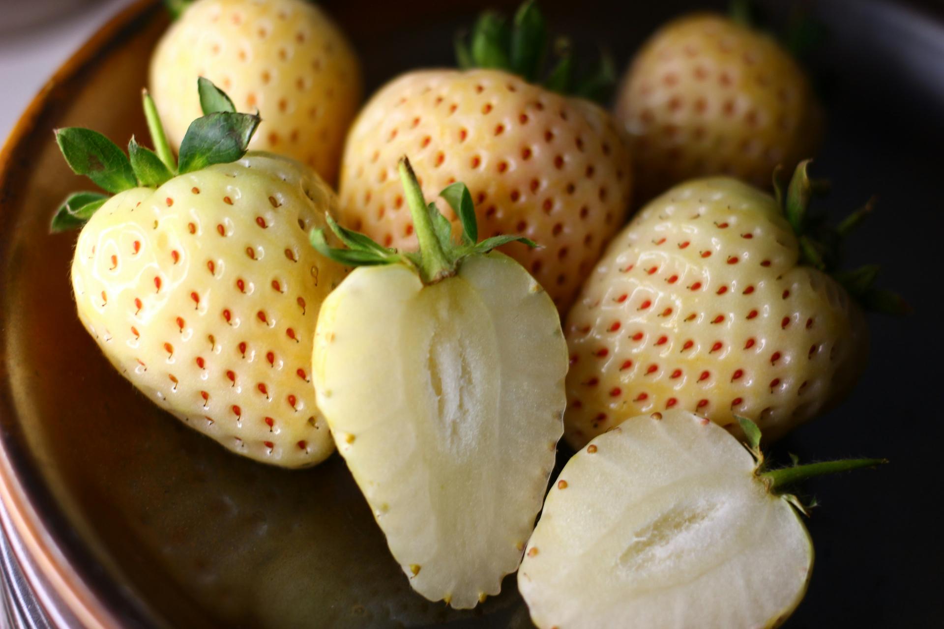 White Strawberries in Texas? The Sweet Surprise Growing Near Poteet