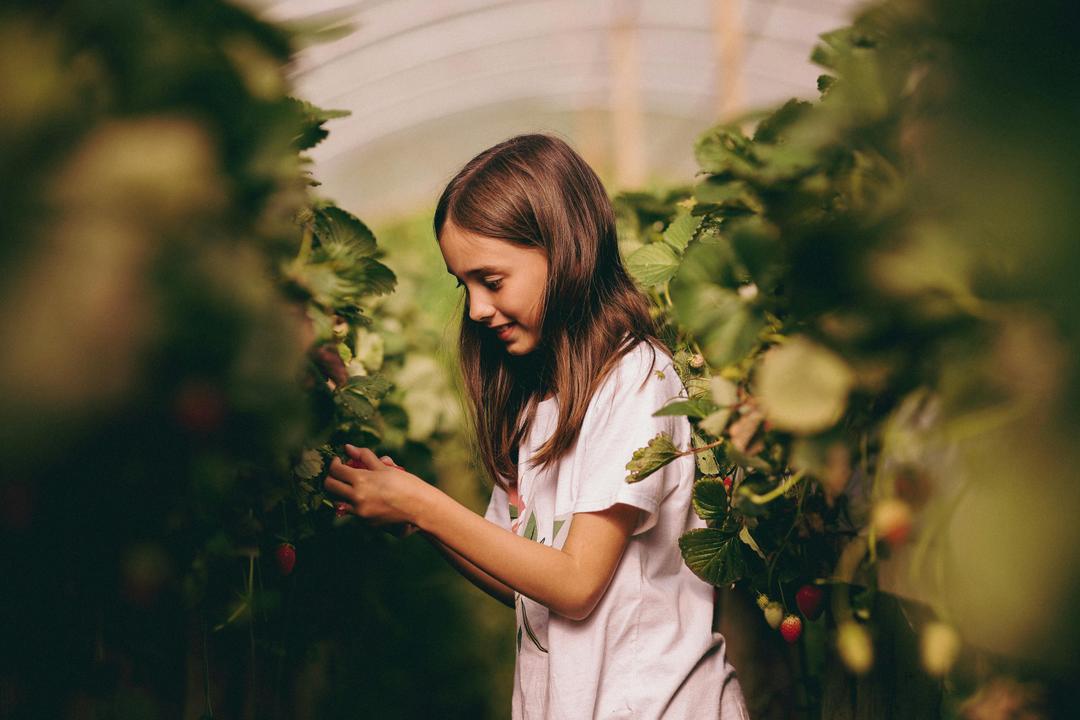 Work Toward Your Junior Gardener Badge at Houston’s Premier Hydroponic Farm