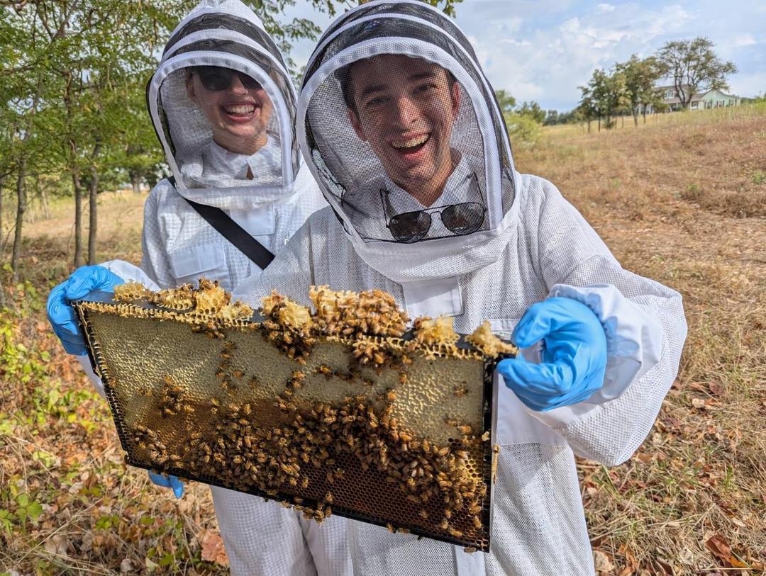 Inside a Private Beekeeping Session: What to Expect