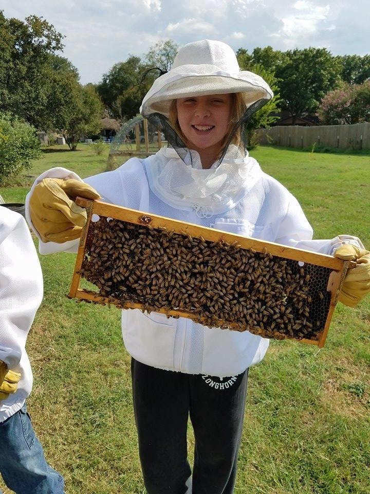 Beekeeping as STEM Education for Teens: A Real-World Learning Experience in North Texas
