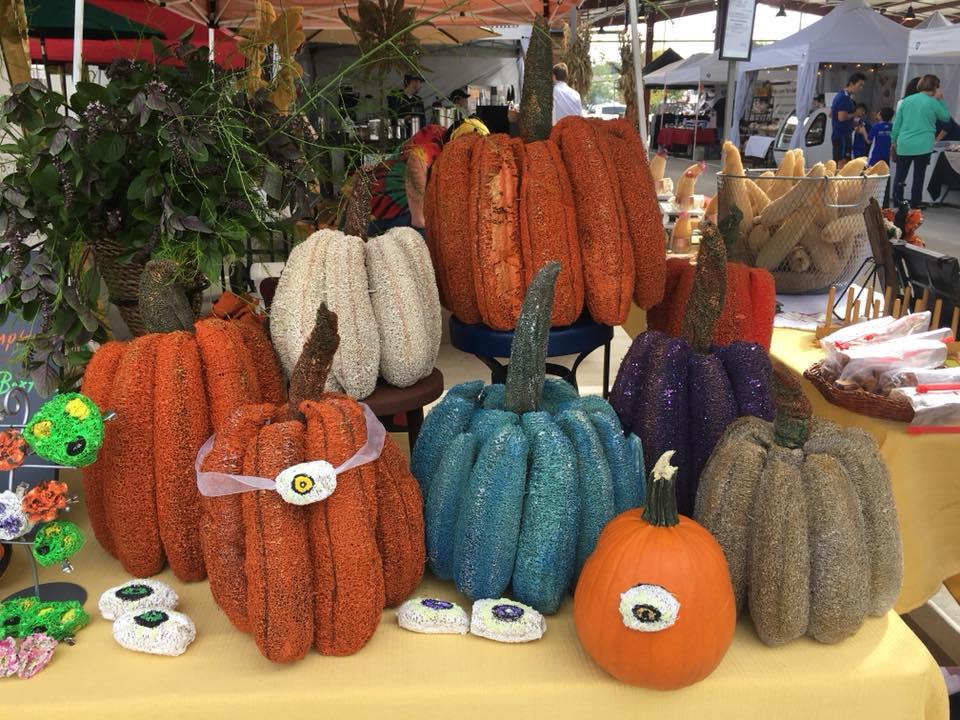 10 Surprising Uses for Luffa (Beyond the Bath Sponge)