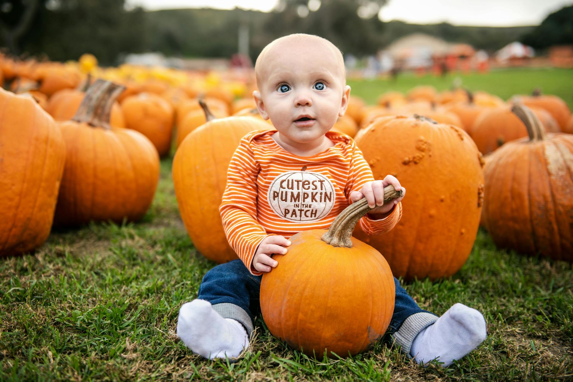 Pumpkin Patches in DFW for Fall Fun—Festivals, Hayrides, and Farm Life
