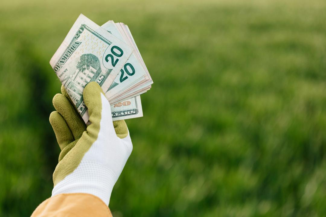 How Delve Works for Farms: Earn Extra Income Through Experiences