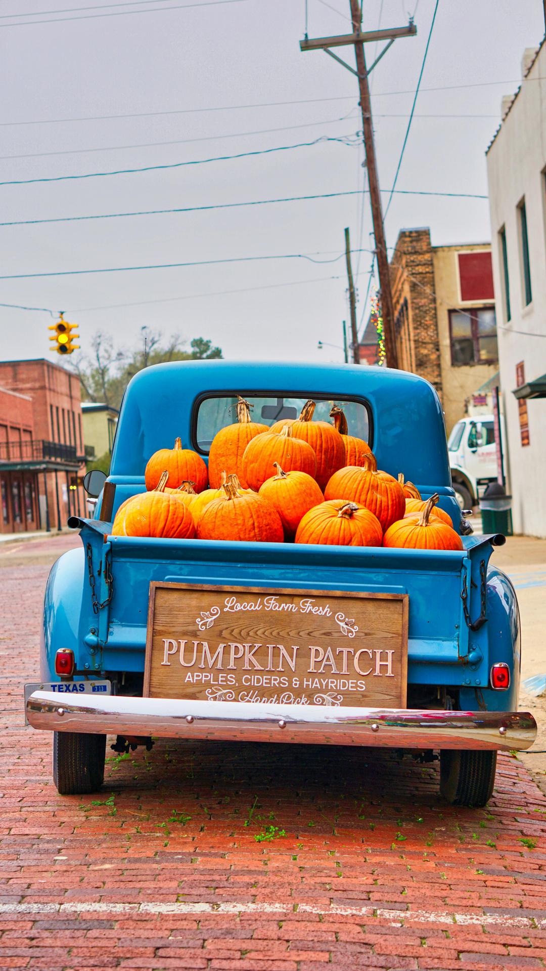 Do Pumpkins Really Grow in Texas?