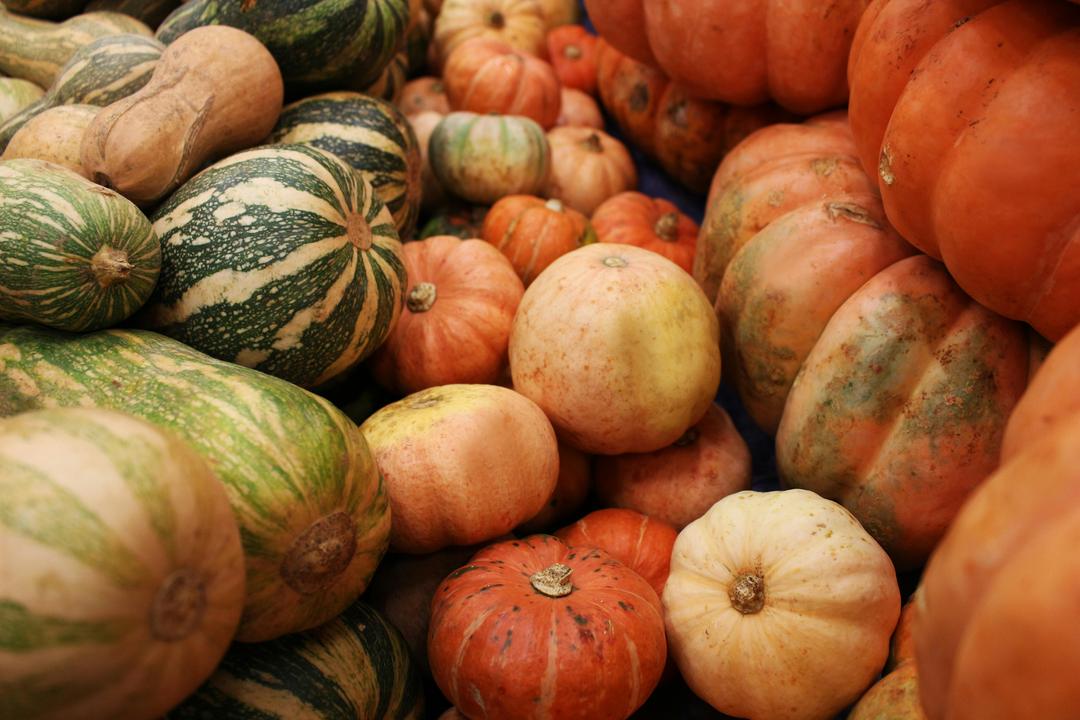 How to Cook with Decorative Pumpkins (Yes, Really)