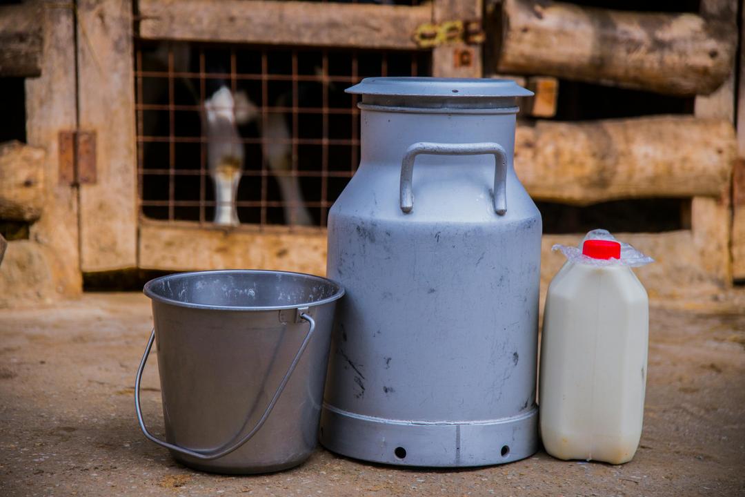 Is Raw Milk Safe? What the Science and Farmers Say