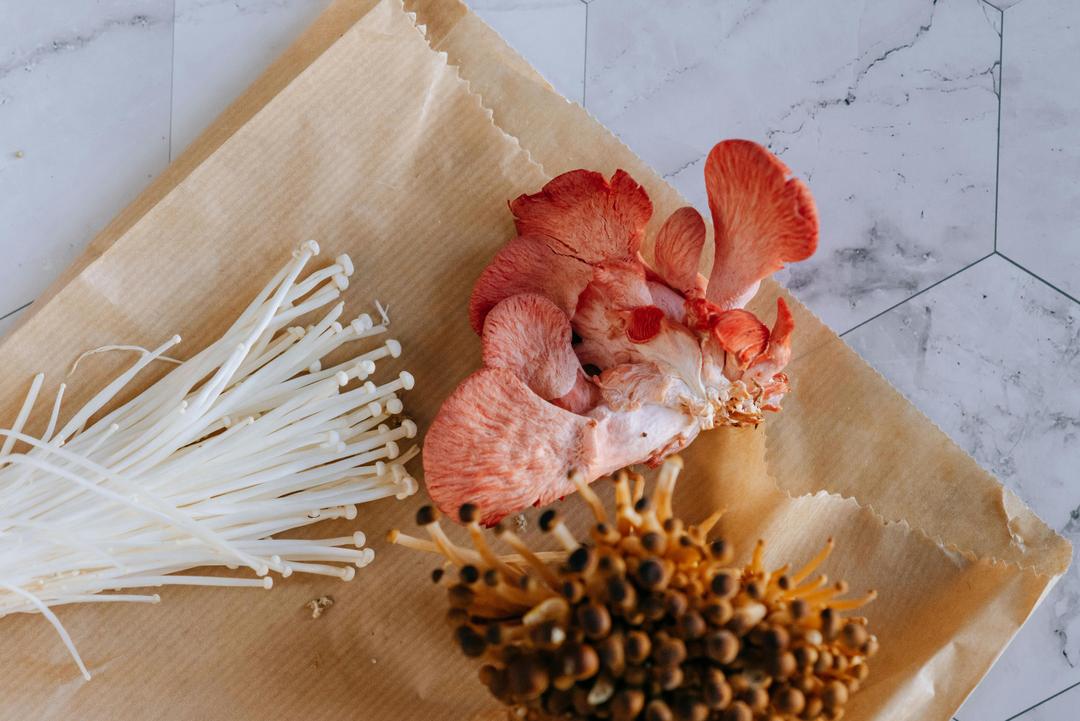 Up Your Mushroom Growing Game: Branching Into New Cultivars