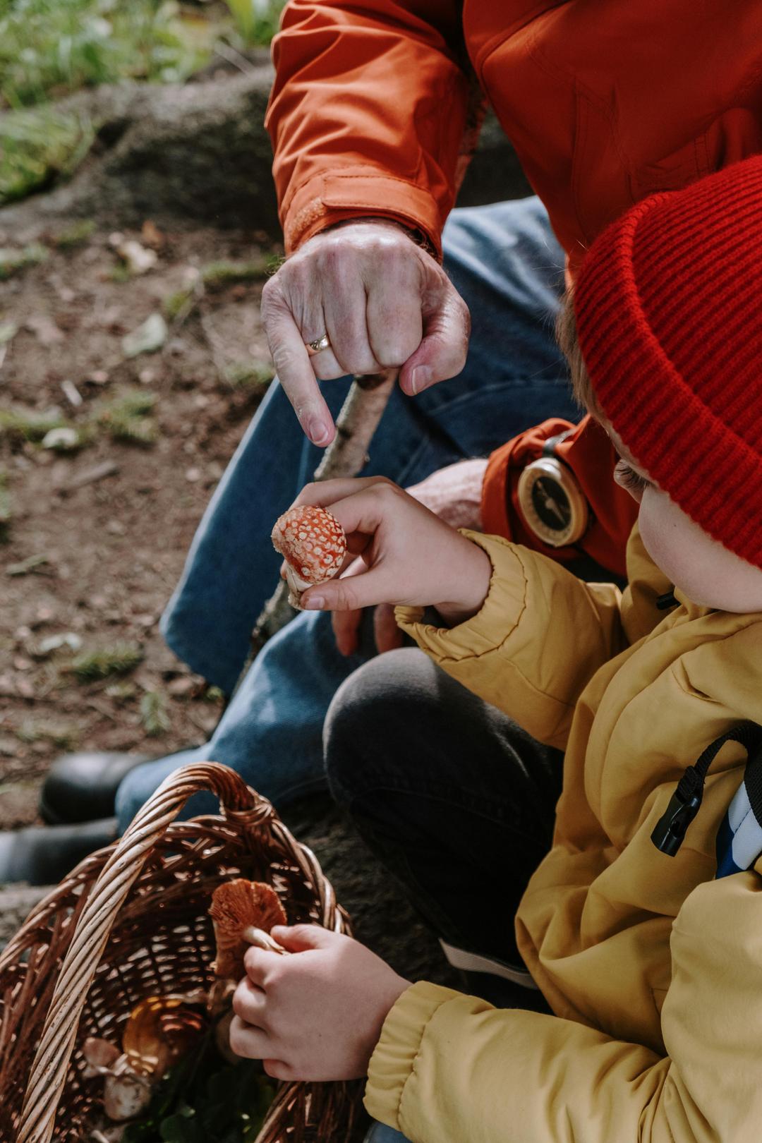 Funky Fungi: 5 Fun Mushroom Facts for Kids