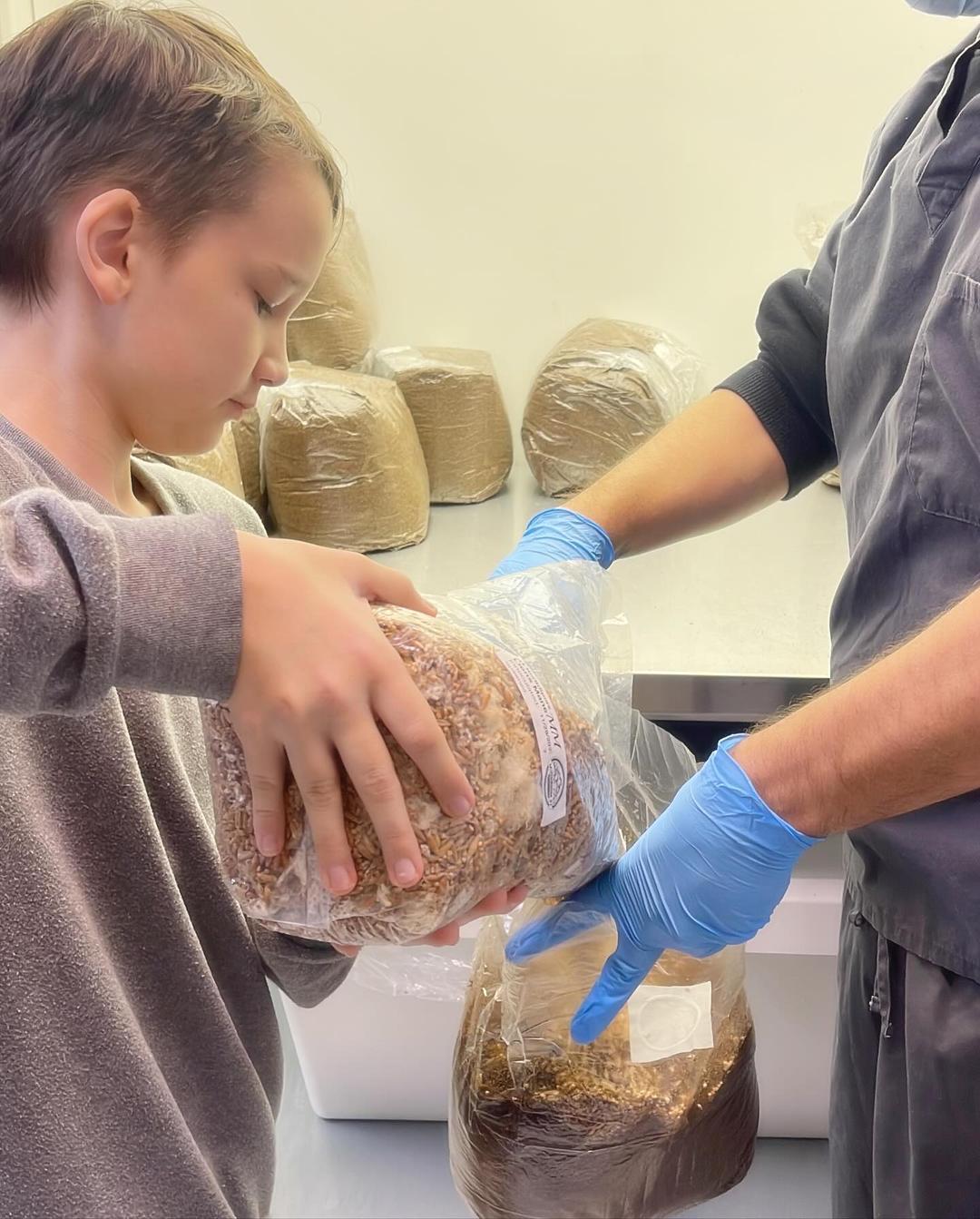 What Kids Learn on a Mushroom Farm Tour
