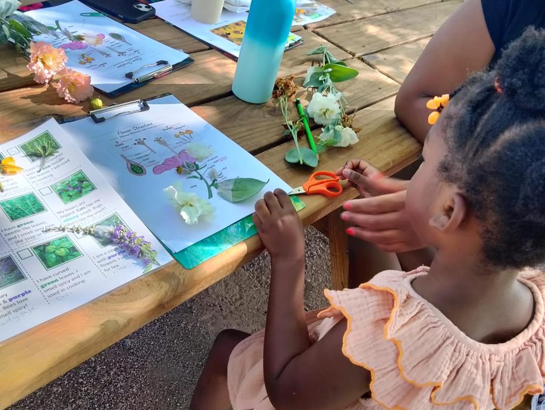 How Delve Experiences Support Hands-On Learning and TEKS Goals in Texas