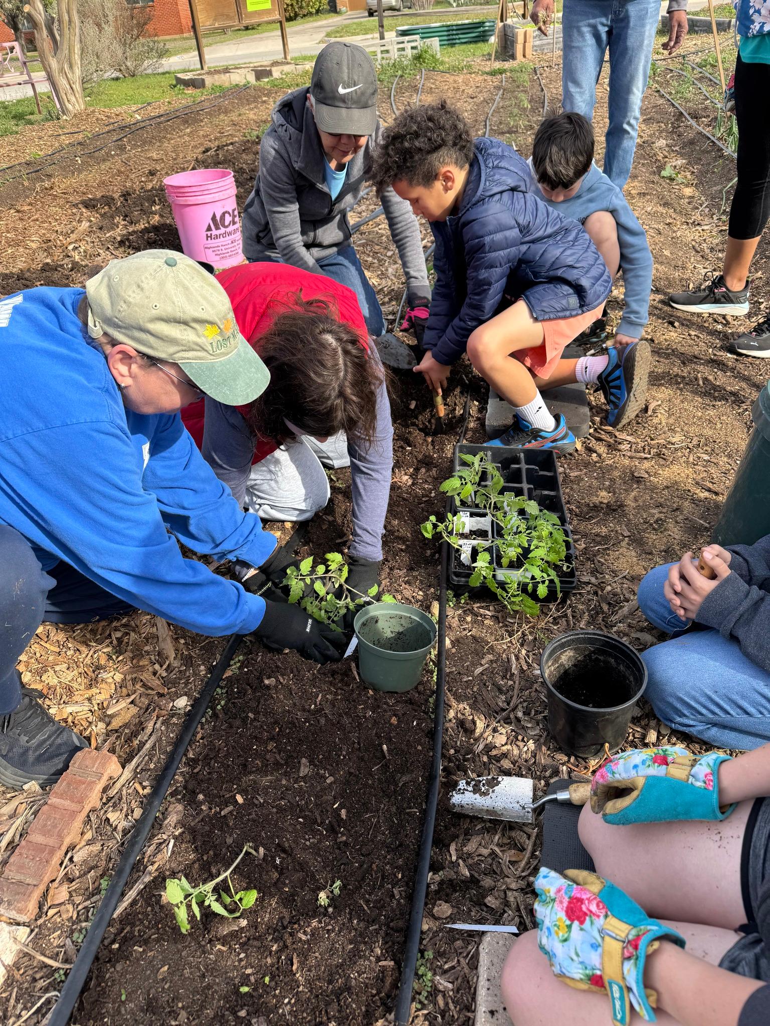 What Students Learn at Ridglea Giving Garden: TEKS-Friendly Field Trips and Workshops in Fort Worth