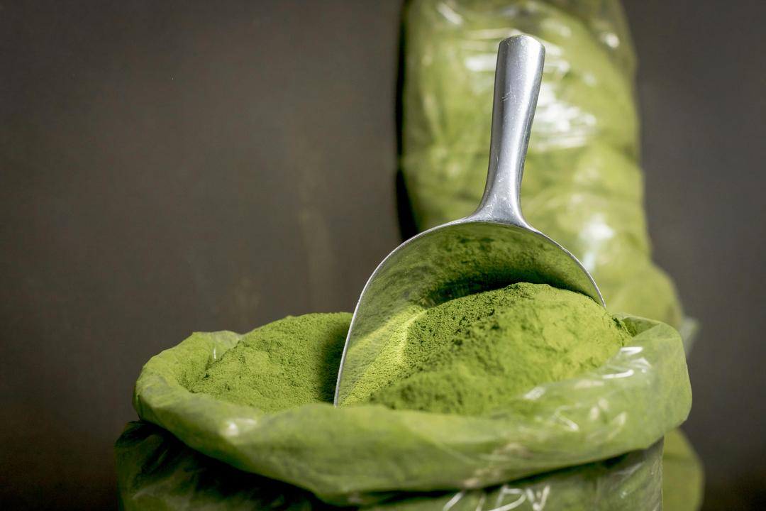 From Leaf to Oil: What Farmers and Makers Do with Moringa