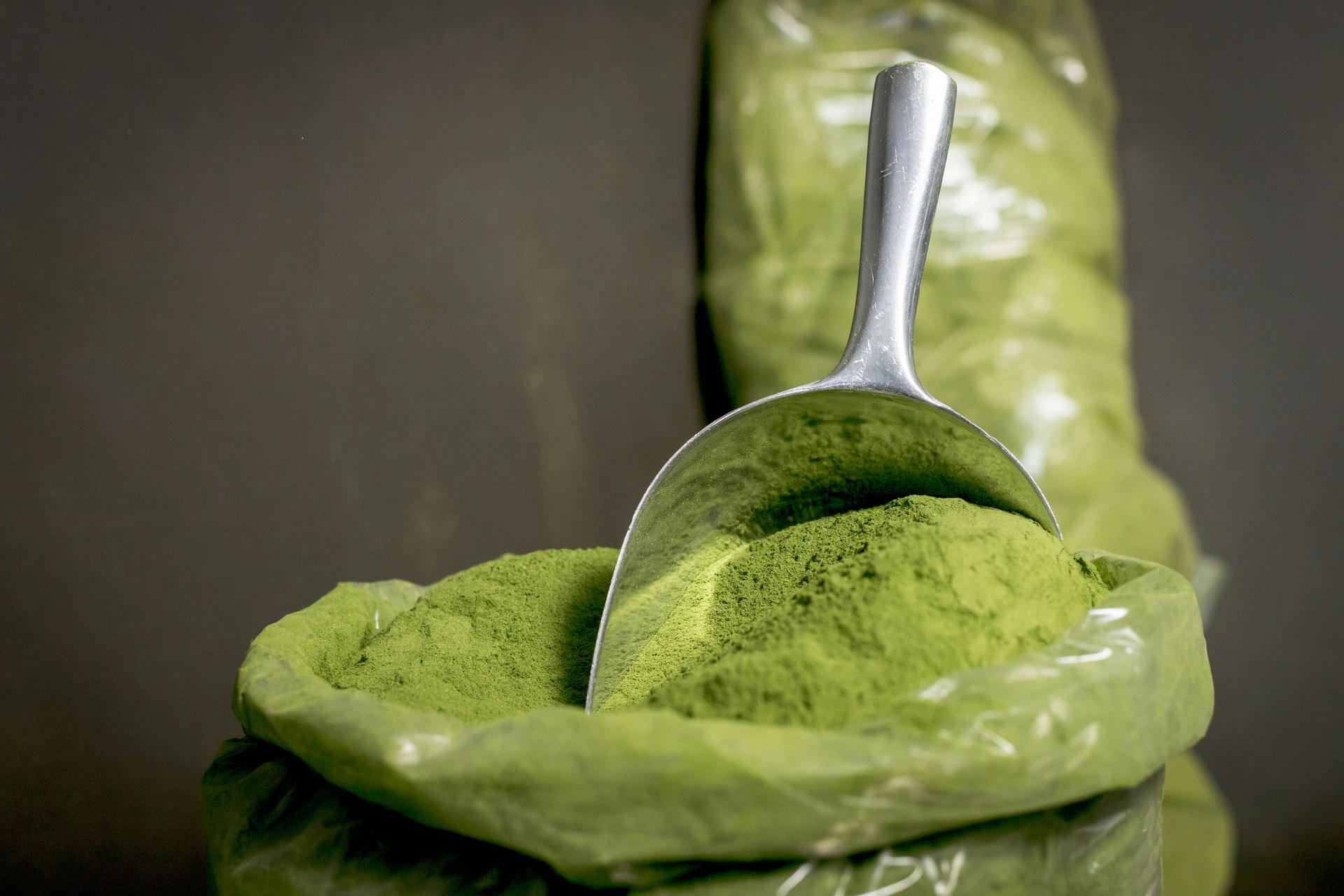 From Leaf to Oil: What Farmers and Makers Do with Moringa