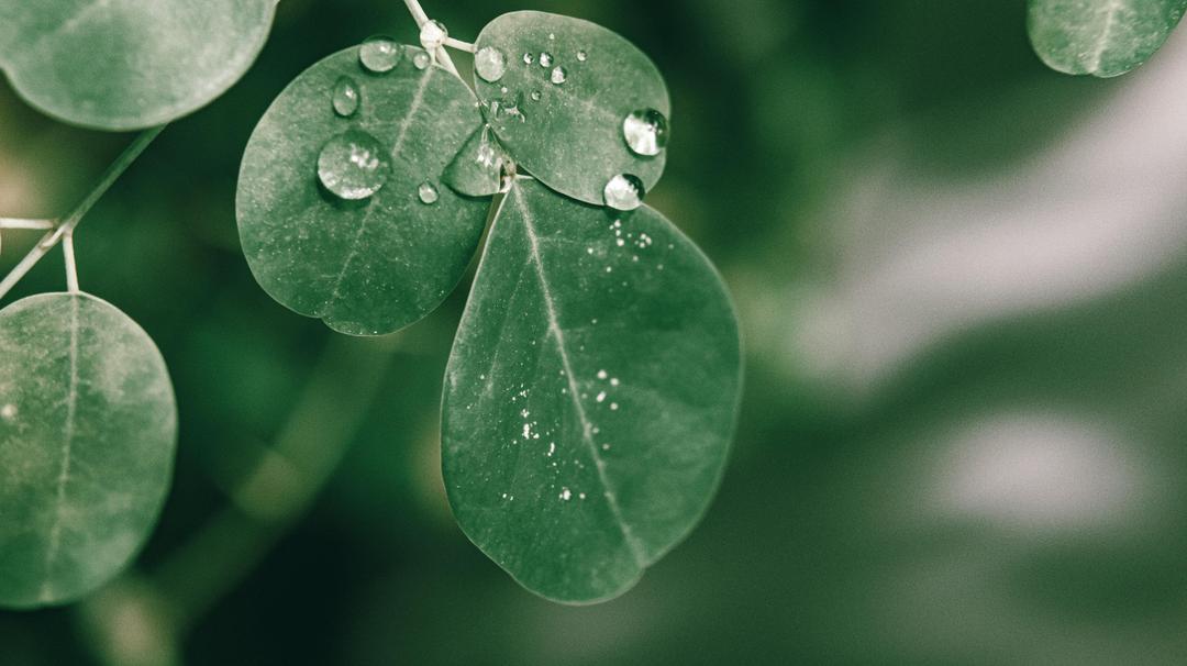 blog-1