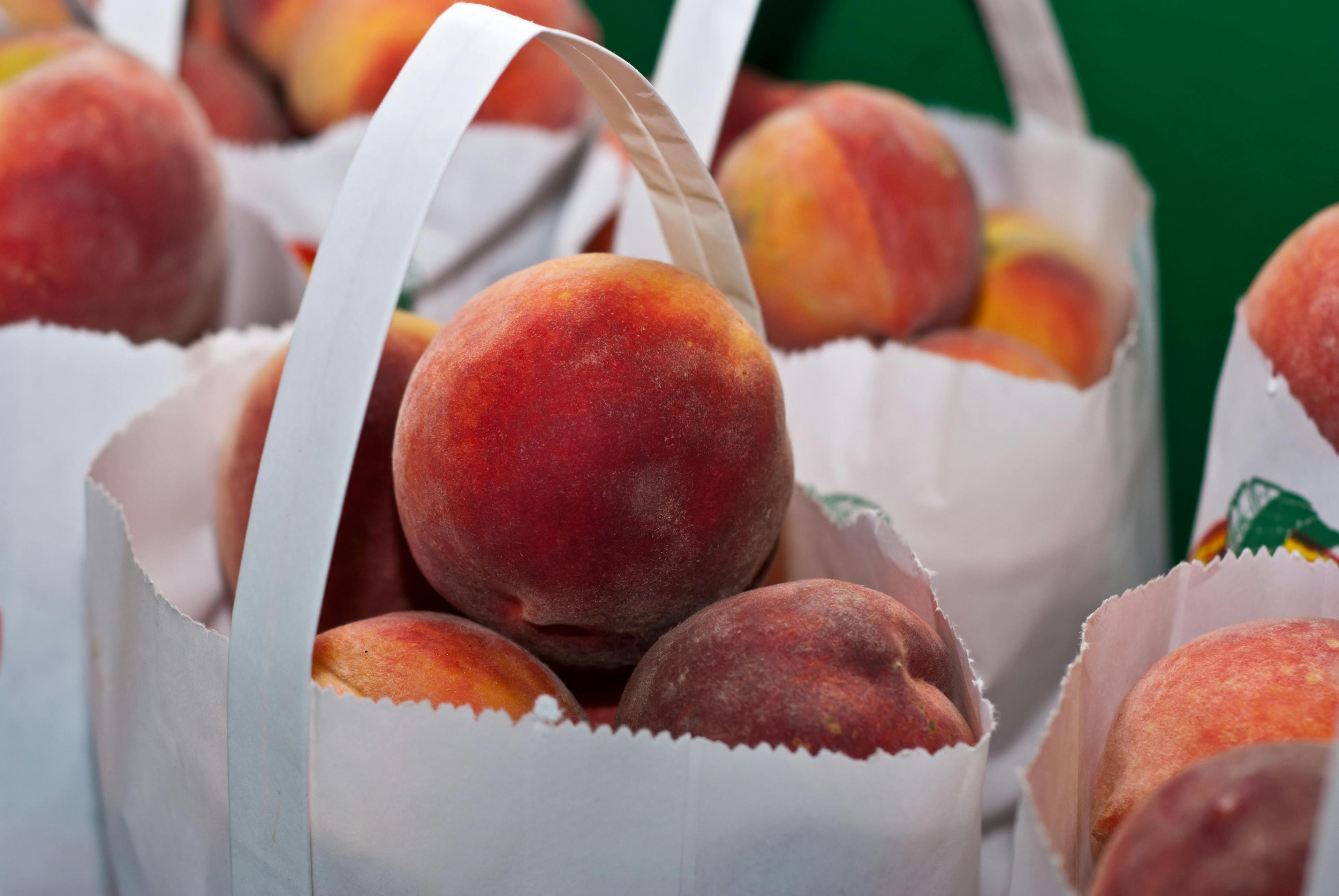 Fredericksburg Peach Festival: A Sweet Slice of Texas Hill Country Tradition