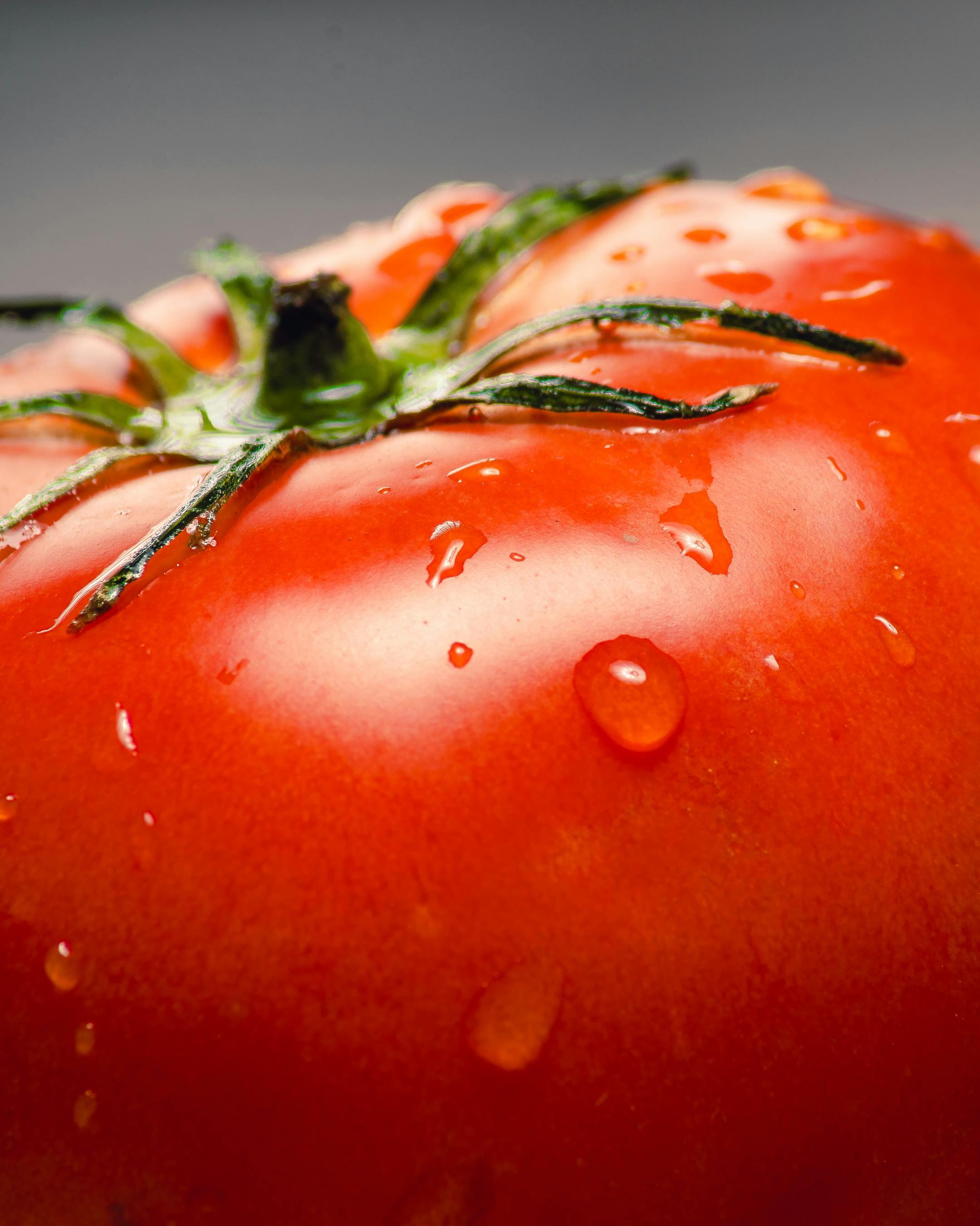 Why Do Tomatoes Taste Better in Summer?