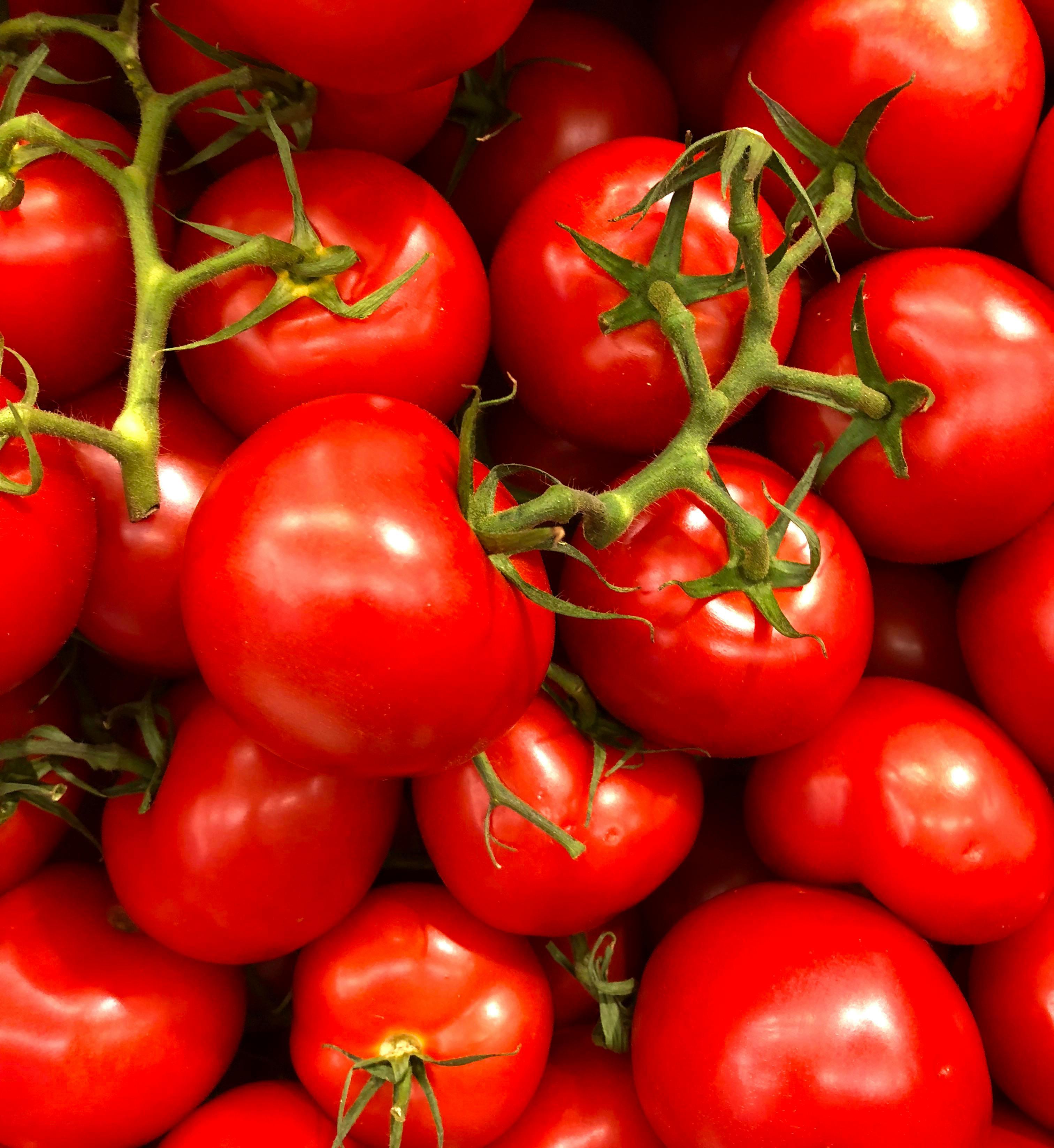 Jacksonville Tomato Fest: East Texas’ Juiciest Tradition
