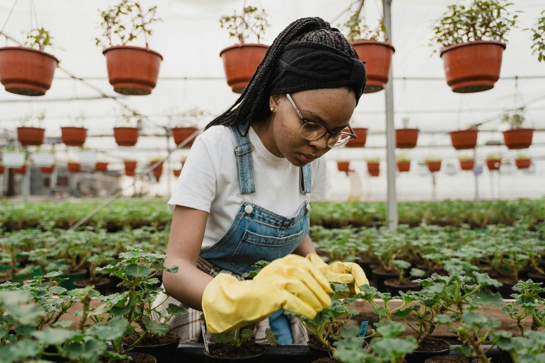 Who Actually Farms These Days? The Changing Faces of Modern Agriculture
