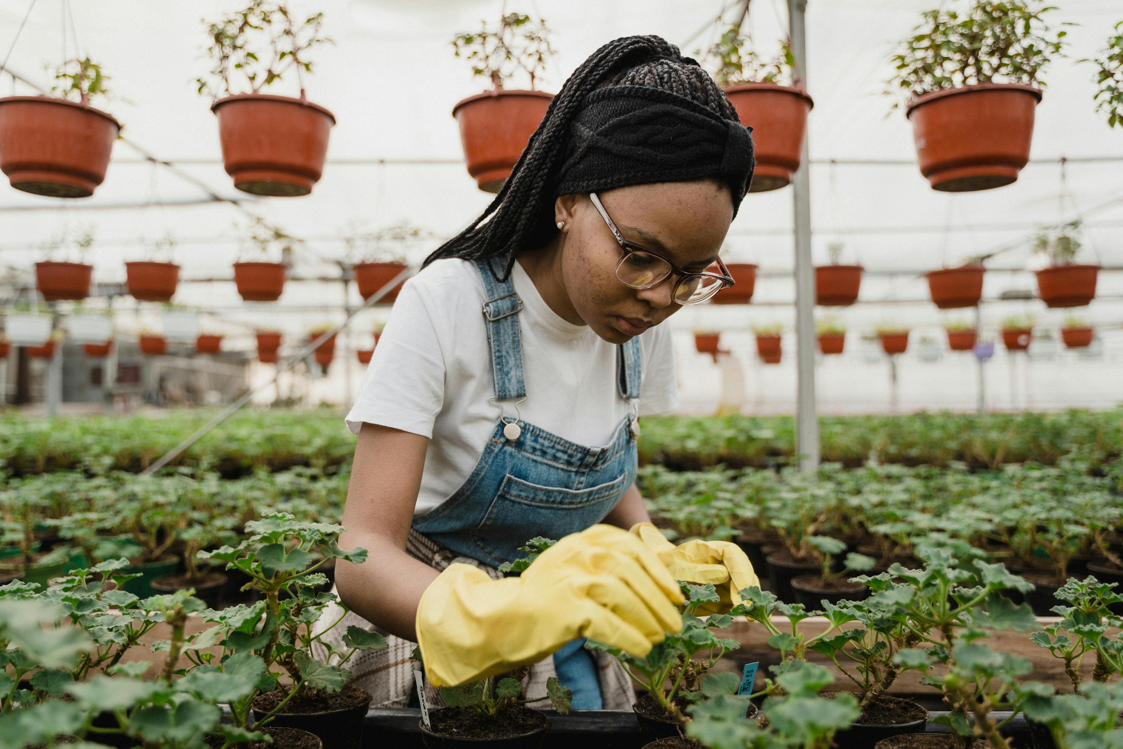Who Actually Farms These Days? The Changing Faces of Modern Agriculture