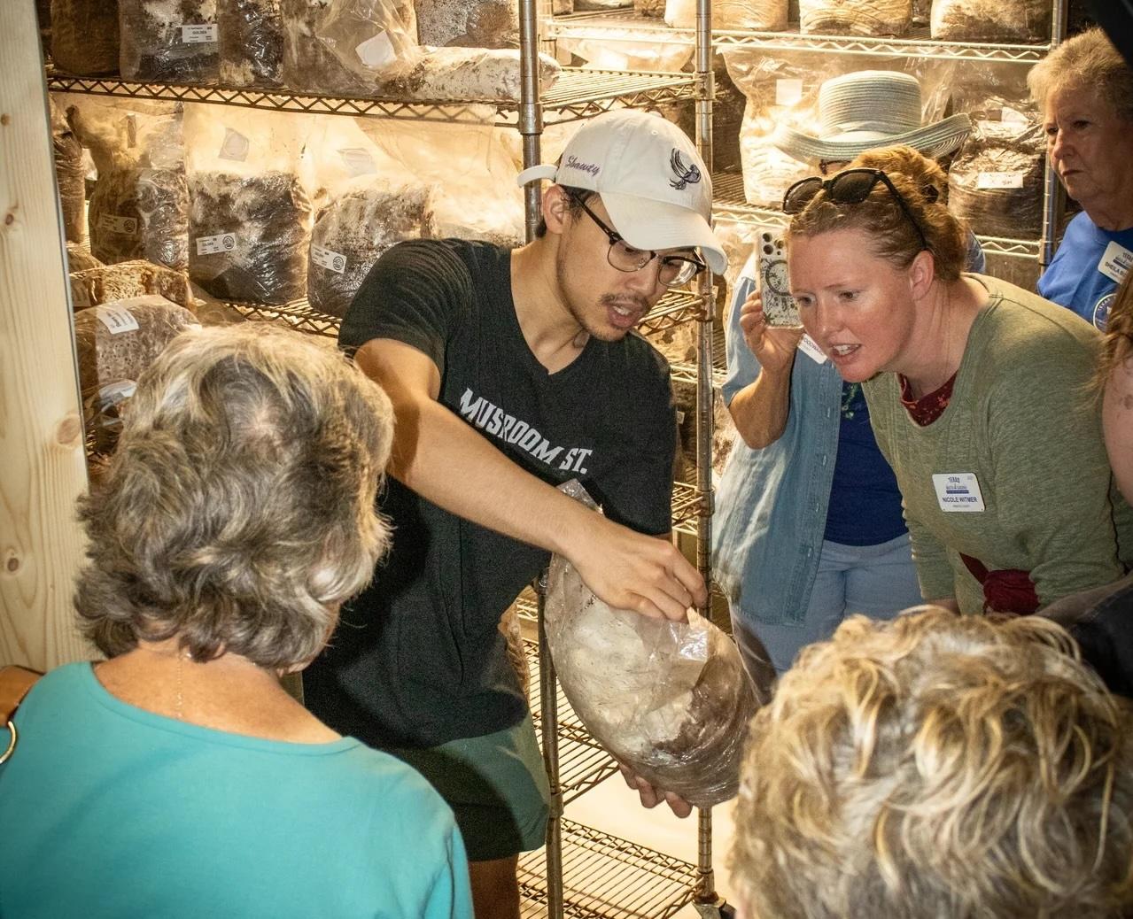 Mushroom Workshop & Farm Tour in Arlington: What to Expect
