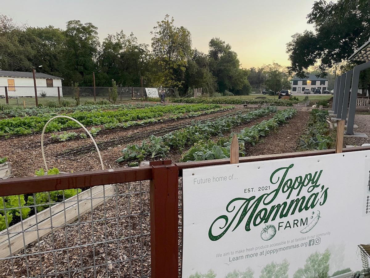 The Story of Joppy Momma’s Farm: Honoring a Legacy, Nourishing a Community