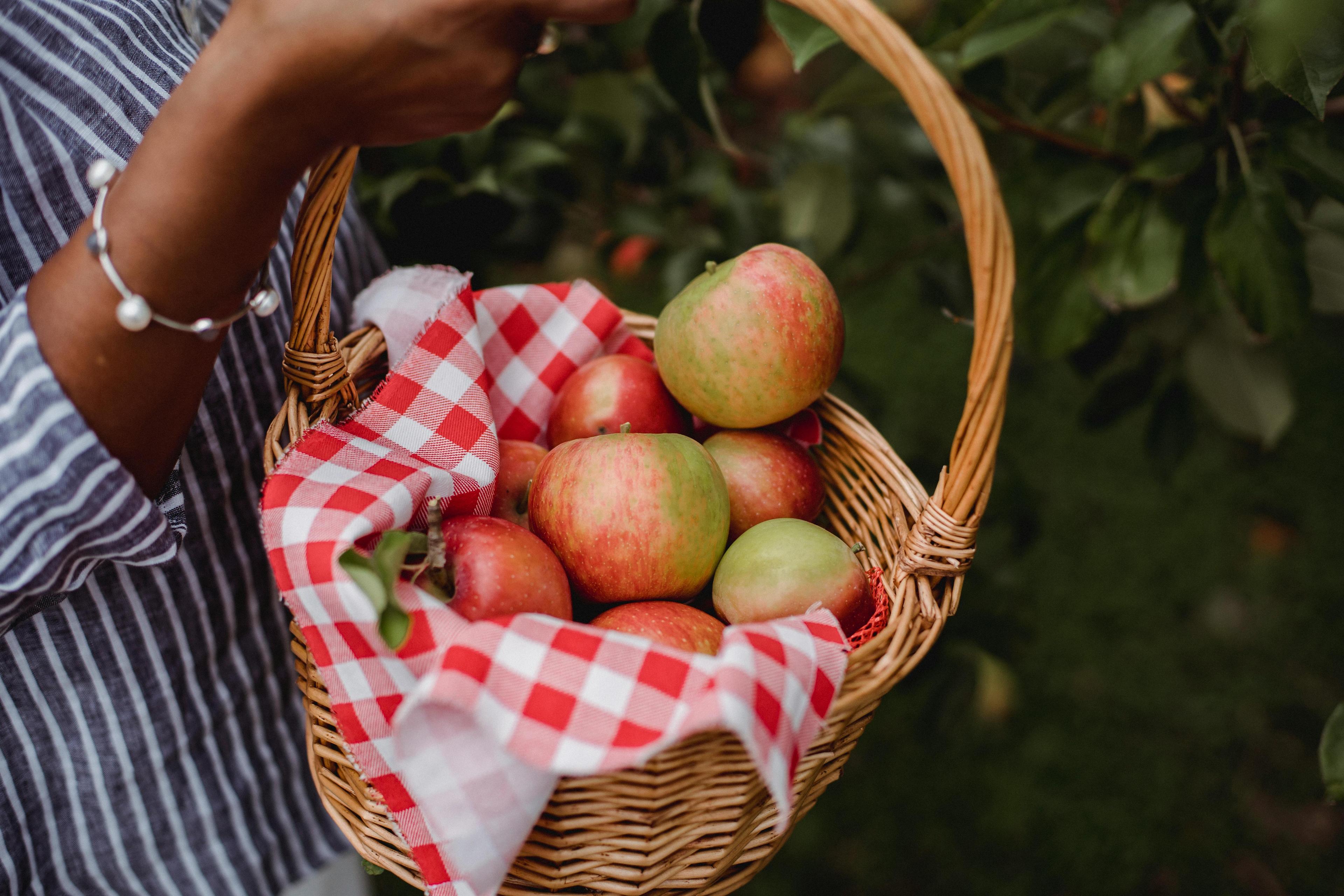 Apple Orchards Around Kansas City (2025 Family Guide to Missouri + Kansas)