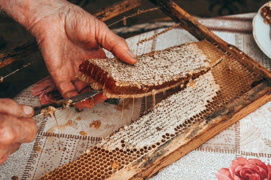 When Is Honey Harvest Season in Texas?