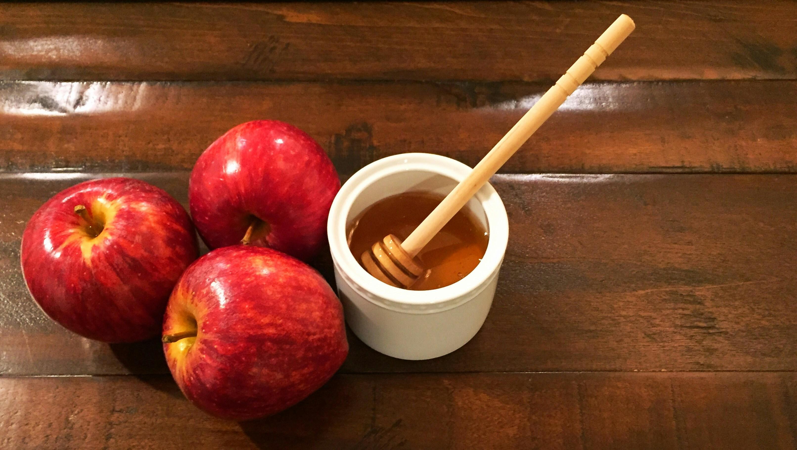 Bring a Honeybee Show-and-Tell to Your Rosh Hashanah Celebration in DFW