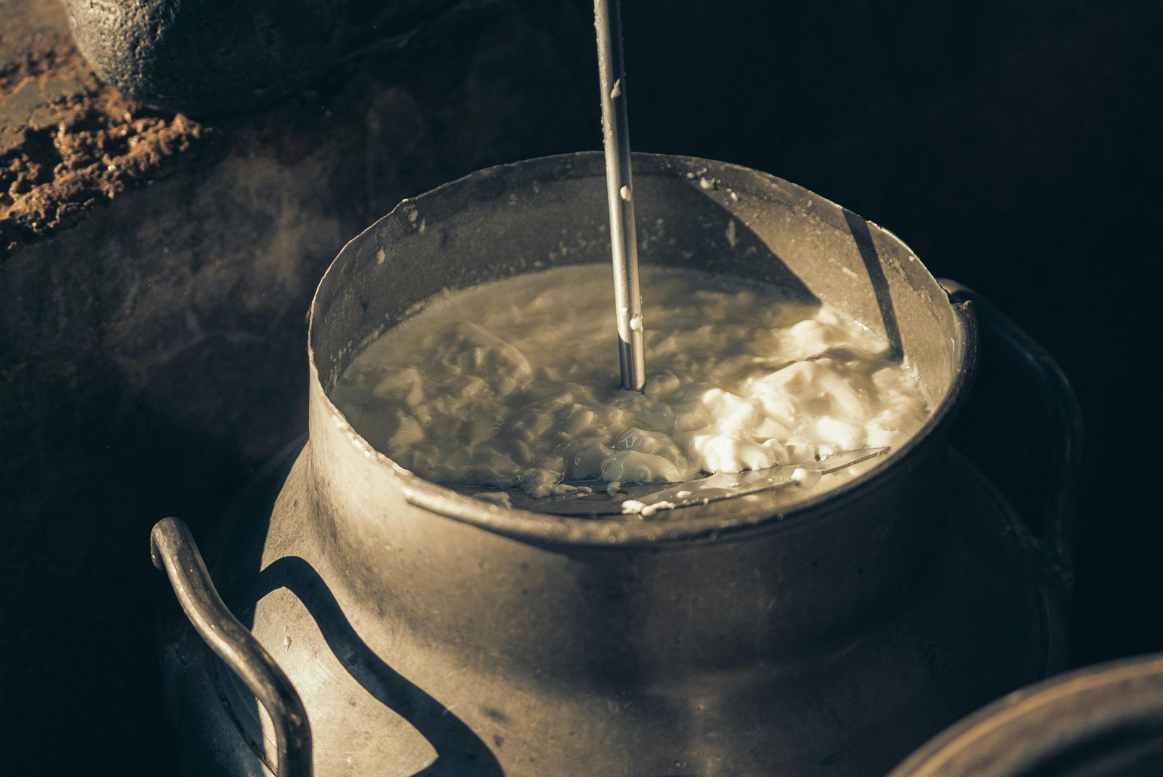 Farm-Fresh Milk to Farm-Fresh Cheese: Why the Source Matters 