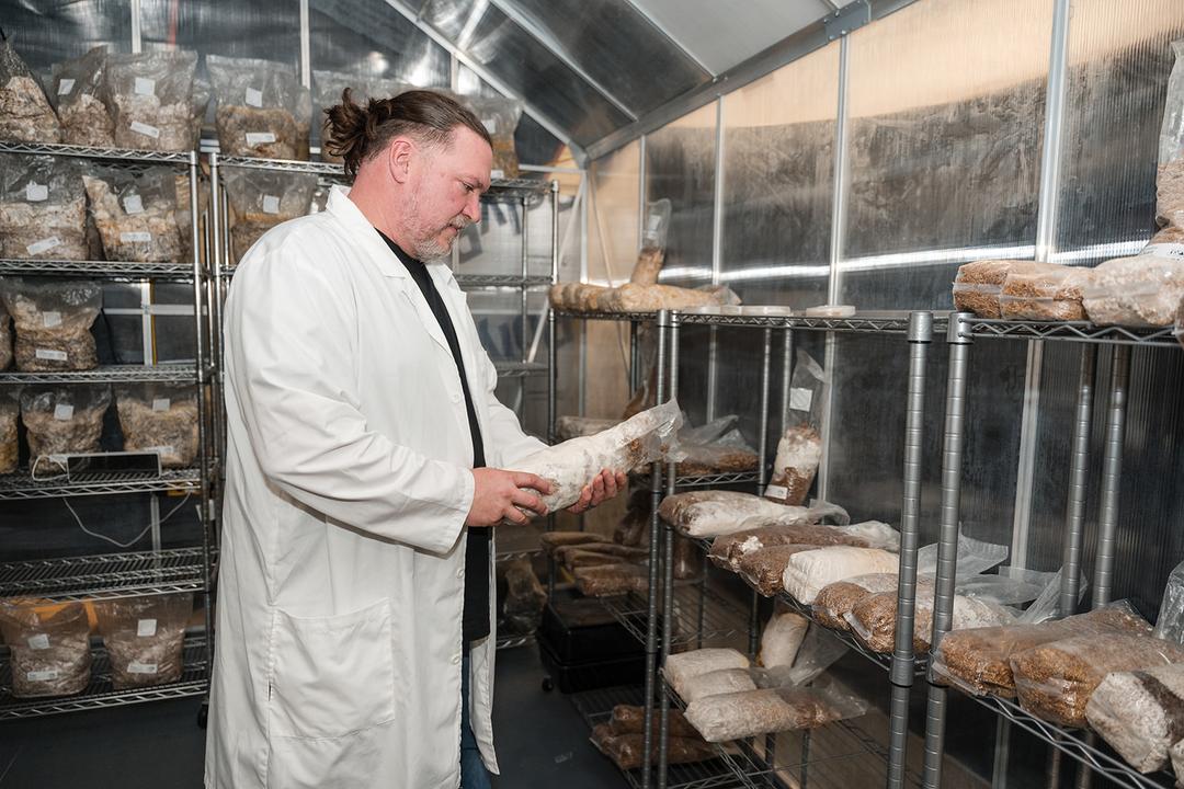 Step Inside a Real Mushroom Farm in Arlington: Friday Tours for All Ages