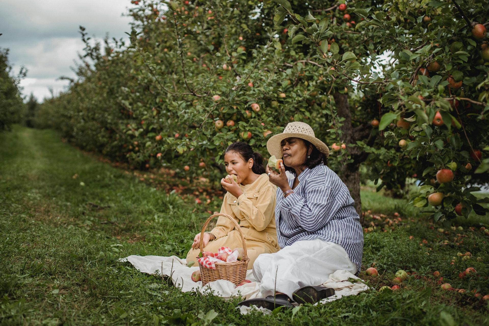 How Spending a Day on a Farm Changes the Way You See Food