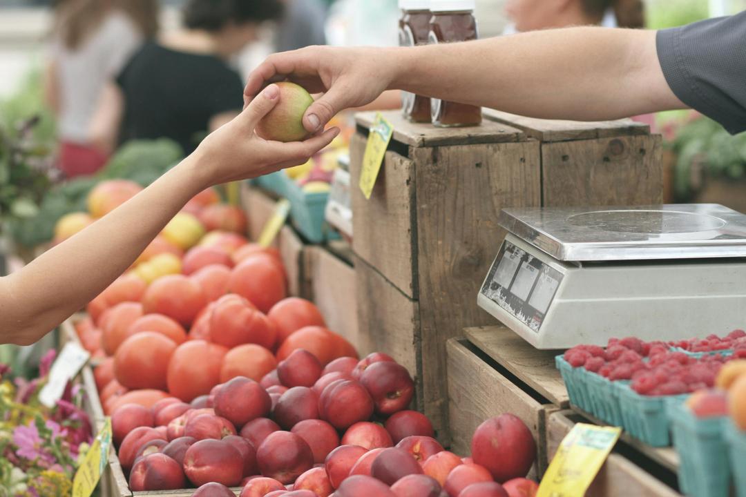 Farmers Market vs. Grocery Store: Why Local Food Wins