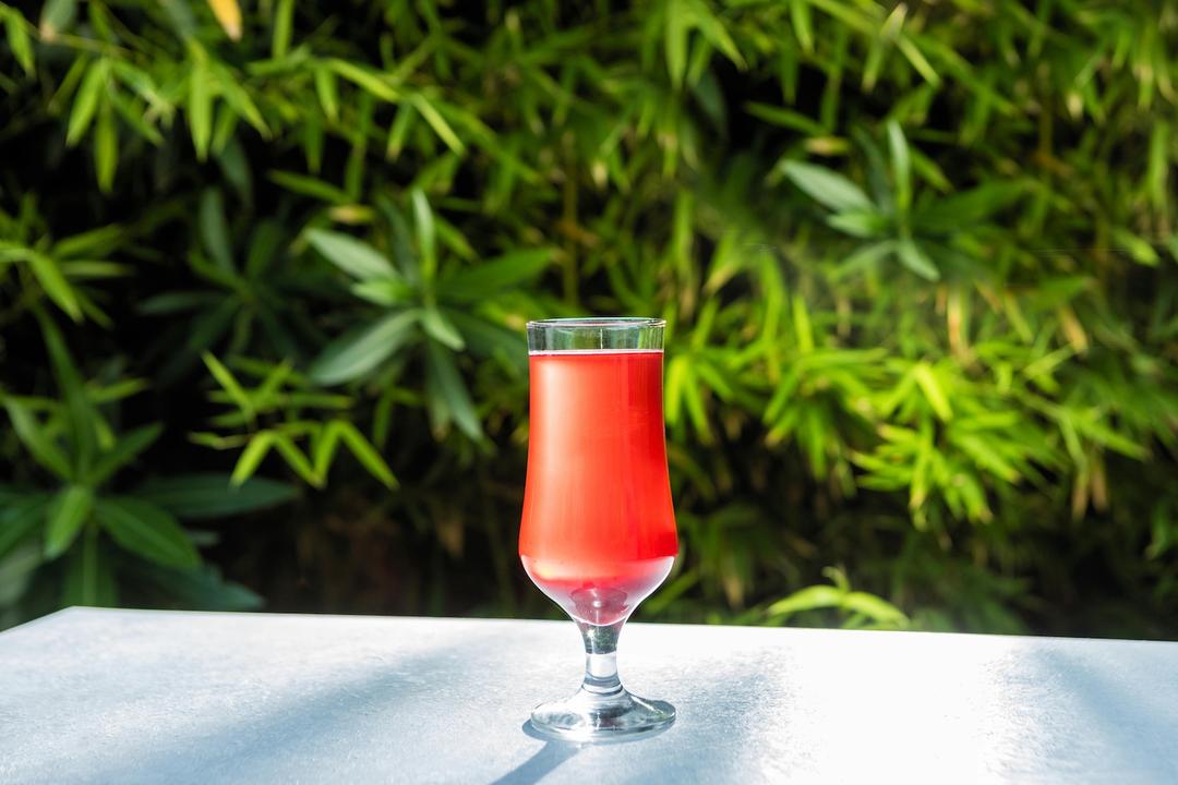 5 Herbs That Make the Best Mocktails (and How to Grow Them in Texas)