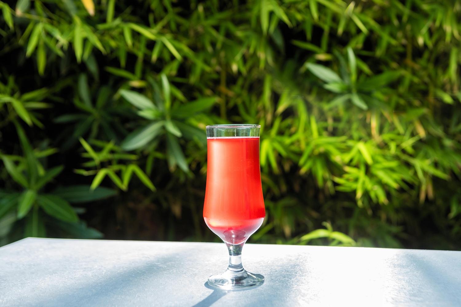 5 Herbs That Make the Best Mocktails (and How to Grow Them in Texas)
