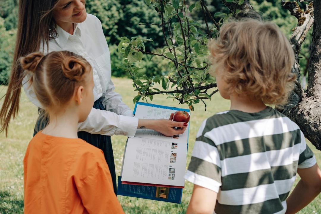 STEM in the Orchard: How Apples Teach Kids About Science in Kansas City
