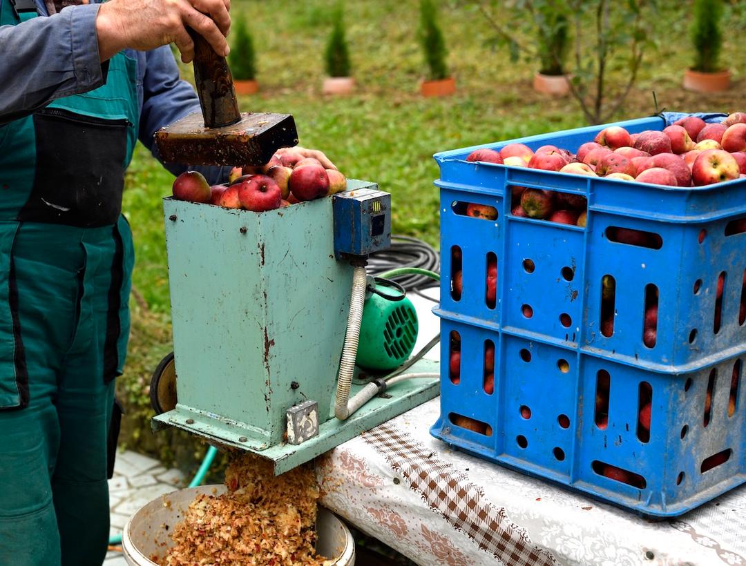 How Farms Turn Apples Into Cider