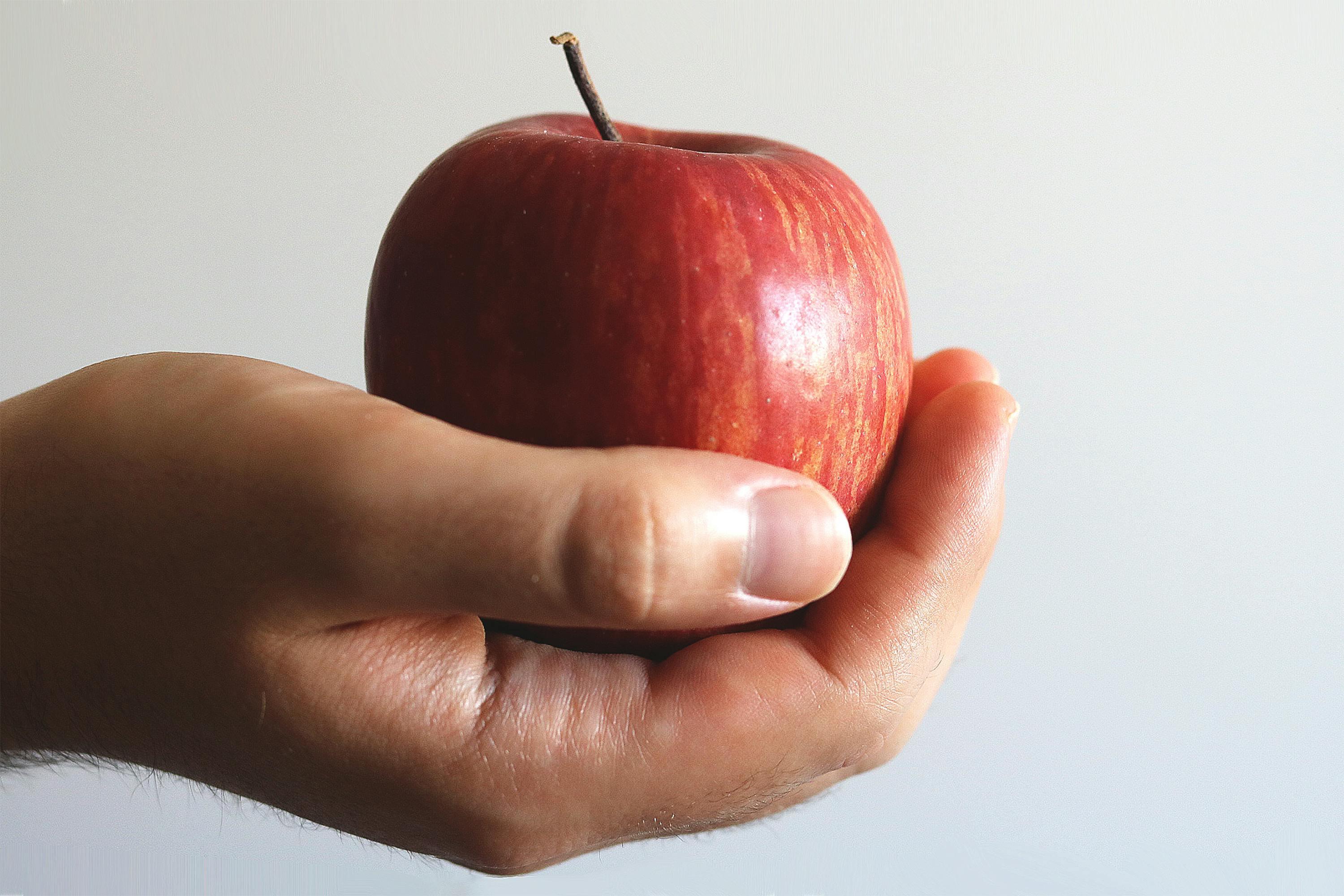 Apple Myths Busted: Separating Fact from Folklore