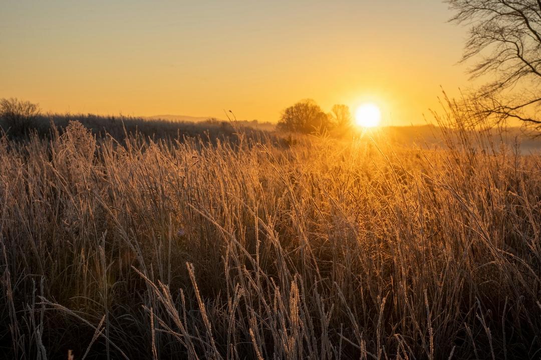 Farming by the Light: How the Winter Solstice Shapes Agricultural Traditions